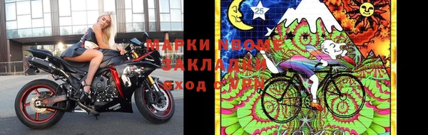 стафф Горнозаводск
