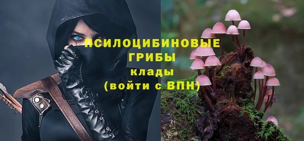 стафф Горнозаводск