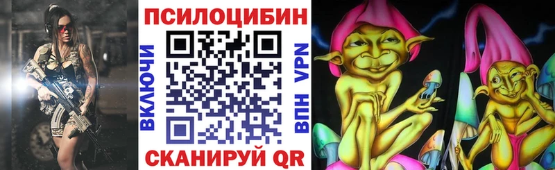 Купить где  Чкаловск  Псилоцибиновые грибы MAGIC MUSHROOMS 